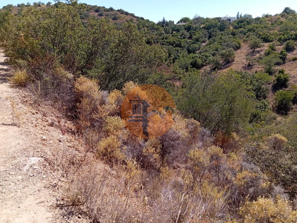 Terreno para Venda em Santa Catarina da Fonte do Bispo Foto 8