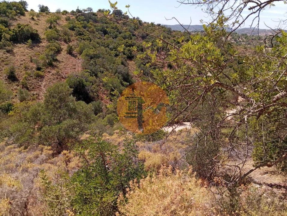 Terreno para Venda em Santa Catarina da Fonte do Bispo Foto 9
