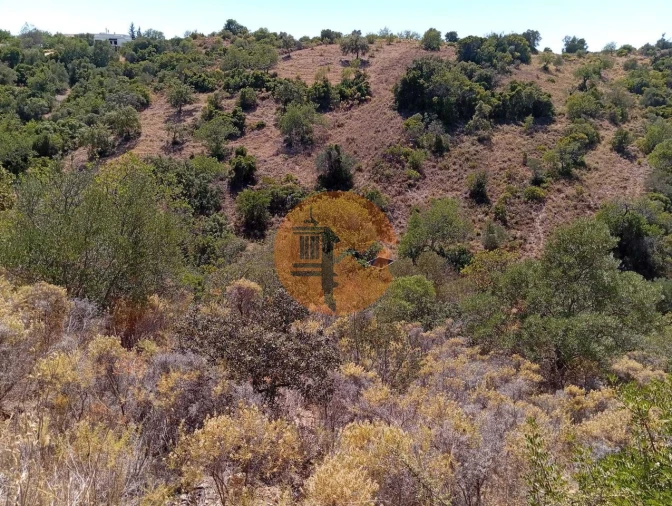 Terreno para Venda em Santa Catarina da Fonte do Bispo Foto 5