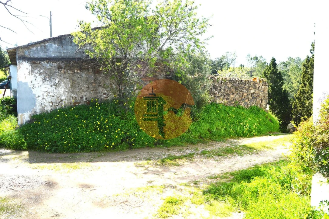 Moradia T3 para Venda em Santa Catarina da Fonte do Bispo Foto 4