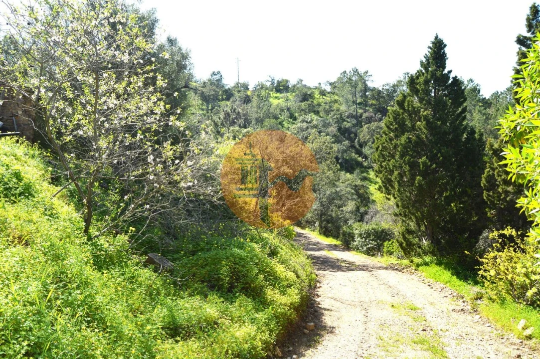Moradia T3 para Venda em Santa Catarina da Fonte do Bispo Foto 5