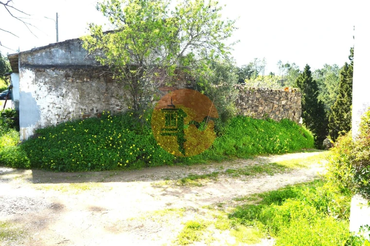 Moradia T3 para Venda em Santa Catarina da Fonte do Bispo Foto 4