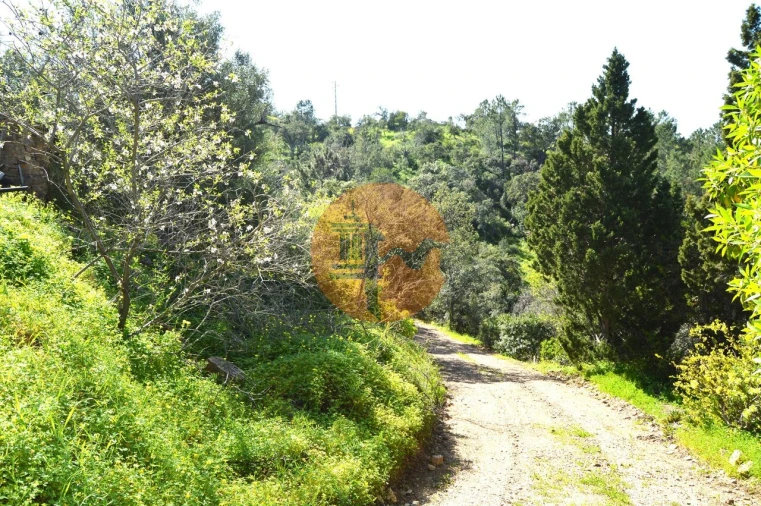 Moradia T3 para Venda em Santa Catarina da Fonte do Bispo Foto 5