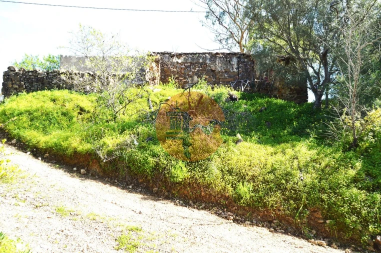 Moradia T3 para Venda em Santa Catarina da Fonte do Bispo Foto 6