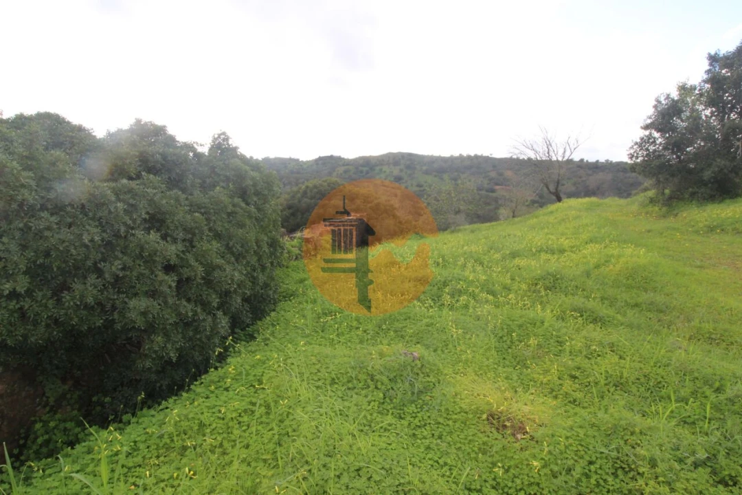 Moradia T2 para Venda em Santa Catarina da Fonte do Bispo Foto 6