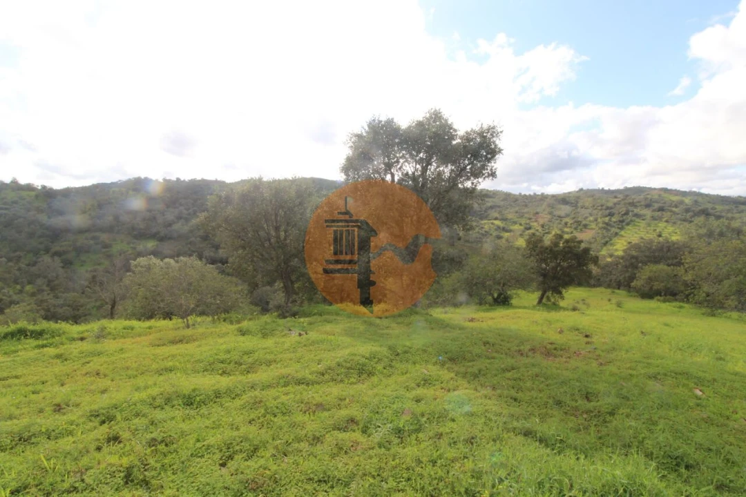 Moradia T2 para Venda em Santa Catarina da Fonte do Bispo Foto 16