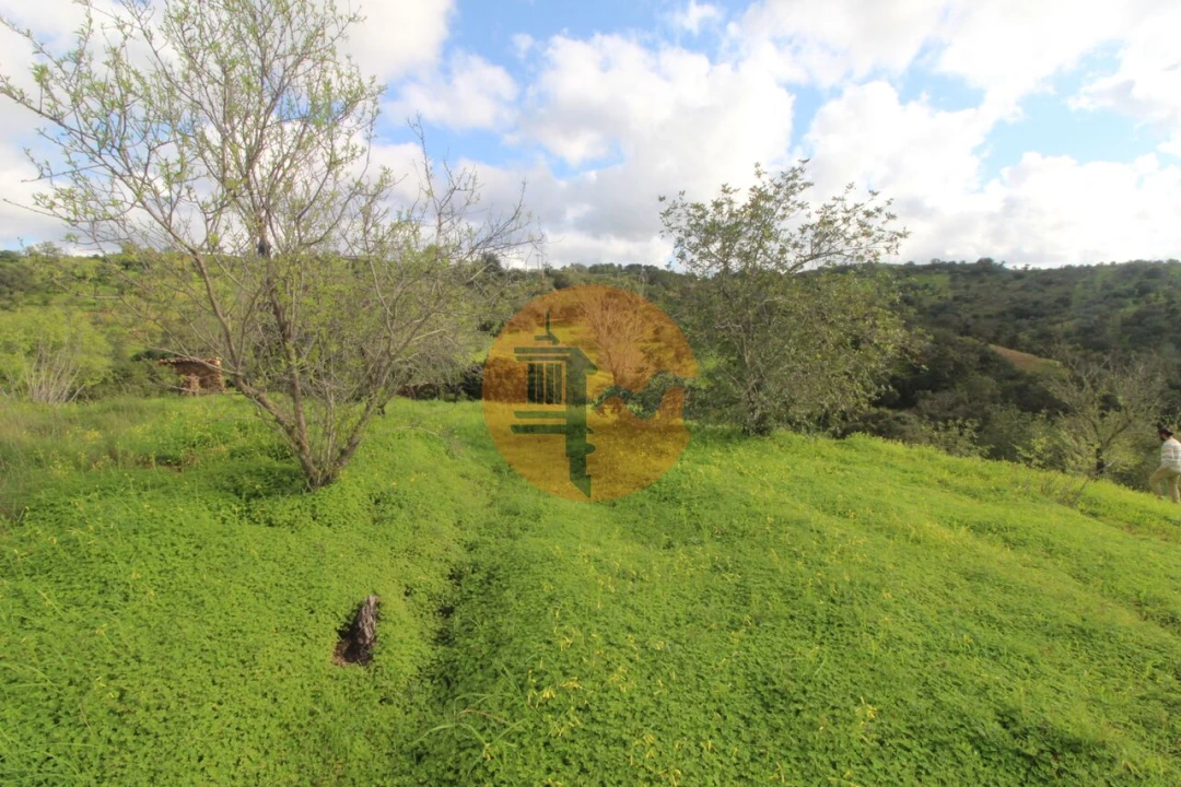 Moradia T2 para Venda em Santa Catarina da Fonte do Bispo Foto 17