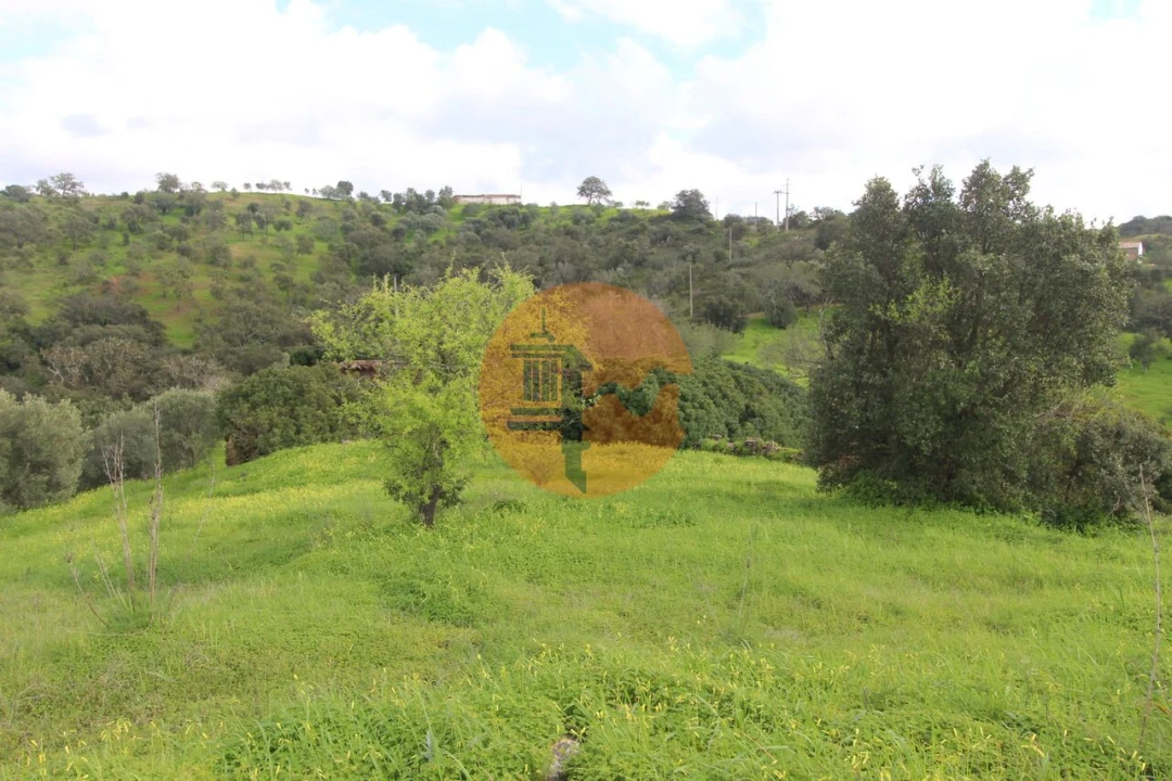 Moradia T2 para Venda em Santa Catarina da Fonte do Bispo Foto 21