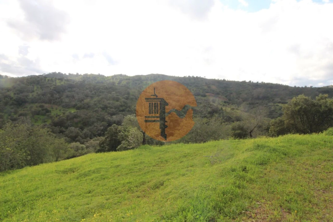 Moradia T2 para Venda em Santa Catarina da Fonte do Bispo Foto 24