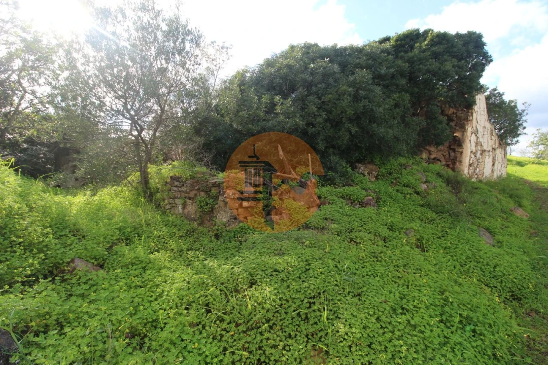 Moradia T2 para Venda em Santa Catarina da Fonte do Bispo Foto 27