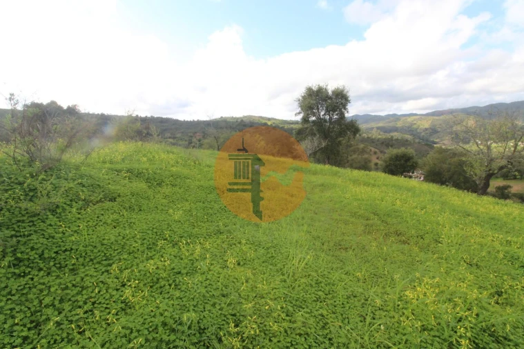 Moradia T2 para Venda em Santa Catarina da Fonte do Bispo Foto 12