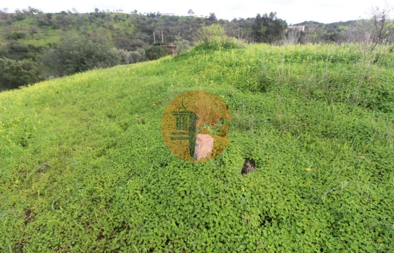 Moradia T2 para Venda em Santa Catarina da Fonte do Bispo Foto 14