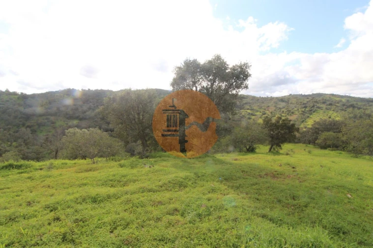 Moradia T2 para Venda em Santa Catarina da Fonte do Bispo Foto 16