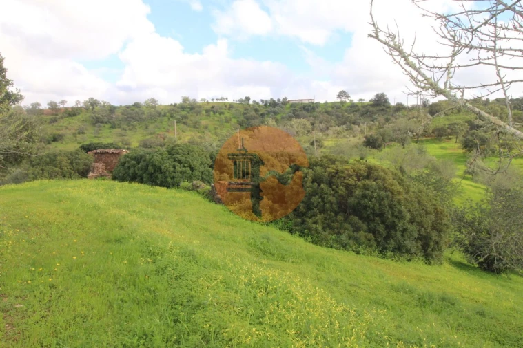 Moradia T2 para Venda em Santa Catarina da Fonte do Bispo Foto 20