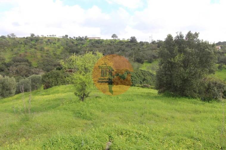 Moradia T2 para Venda em Santa Catarina da Fonte do Bispo Foto 21