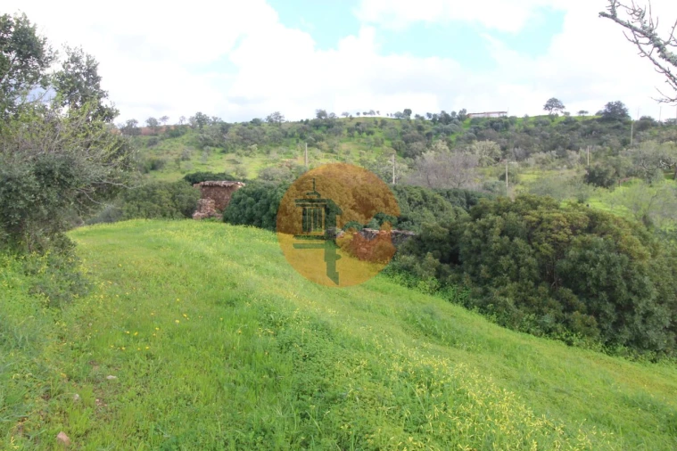 Moradia T2 para Venda em Santa Catarina da Fonte do Bispo Foto 22