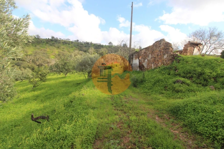 Moradia T2 para Venda em Santa Catarina da Fonte do Bispo Foto 26