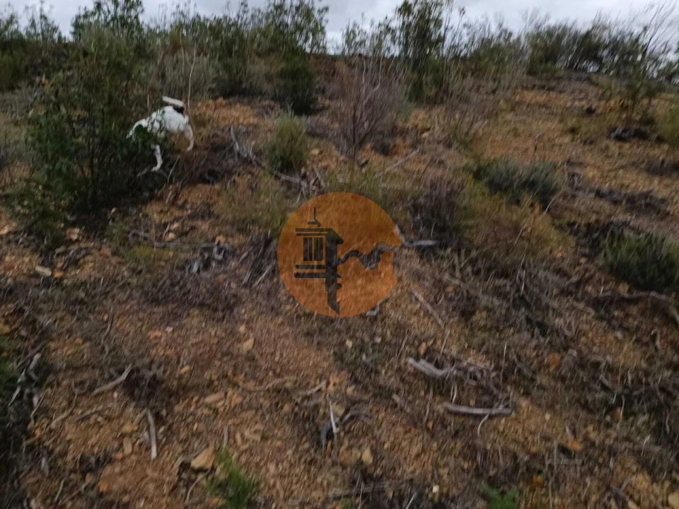 Terreno para Venda em Azinhal Foto 9