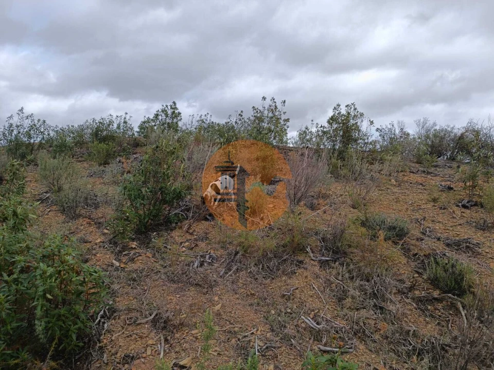 Terreno para Venda em Azinhal Foto 12