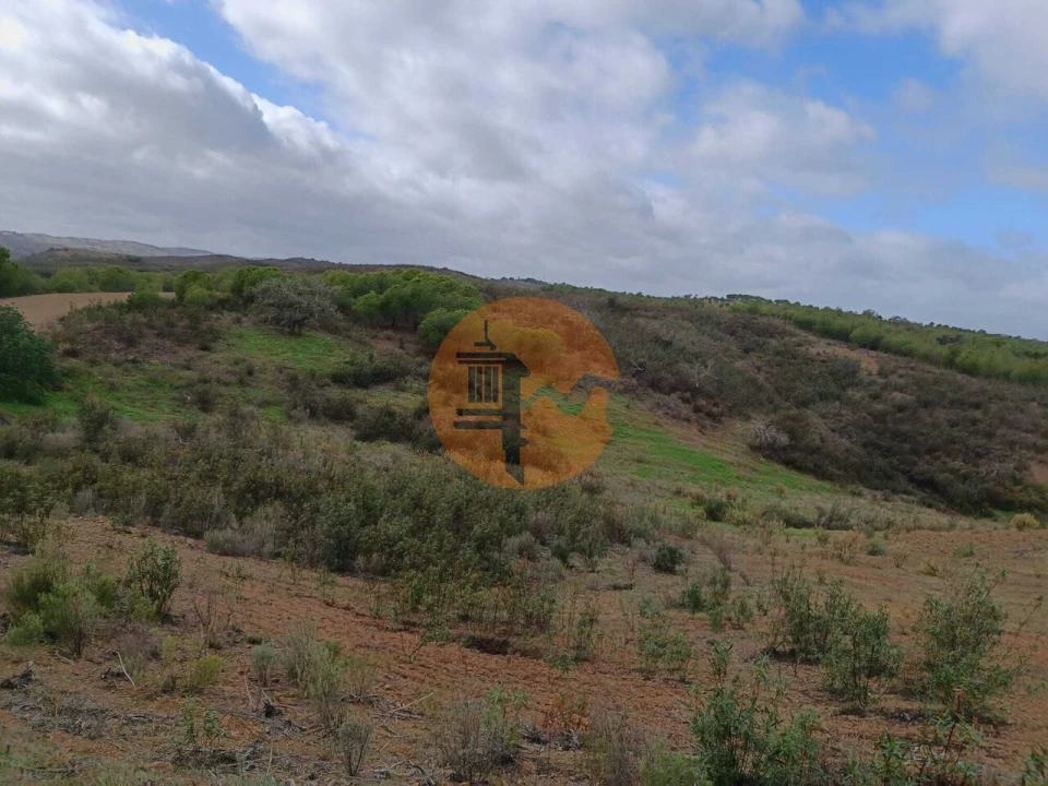 Terreno para Venda em Azinhal Foto 13