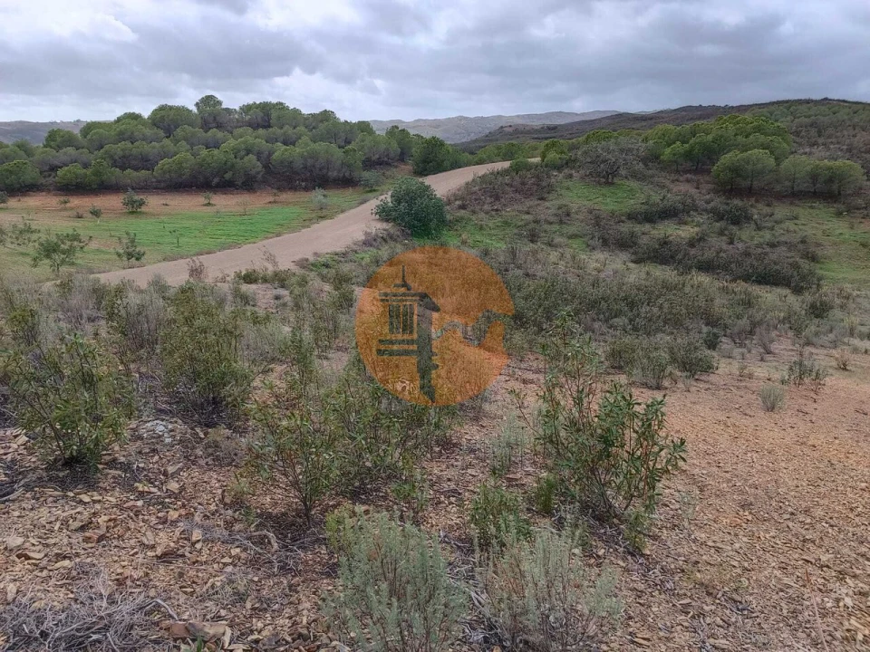 Terreno para Venda em Azinhal Foto 14