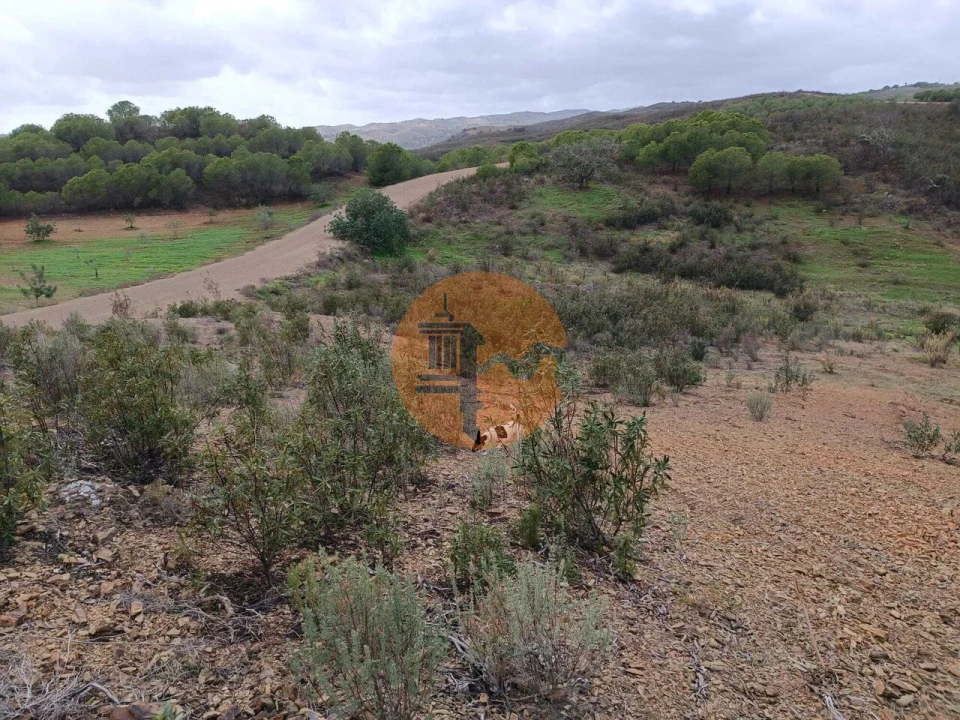 Terreno para Venda em Azinhal Foto 16