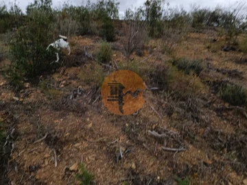Terreno para Venda em Azinhal