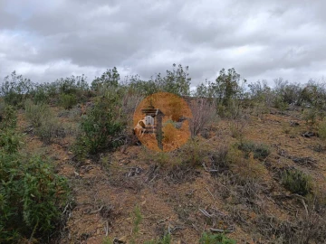 Terreno para Venda em Azinhal
