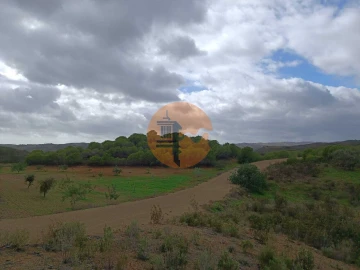 Terreno para Venda em Azinhal