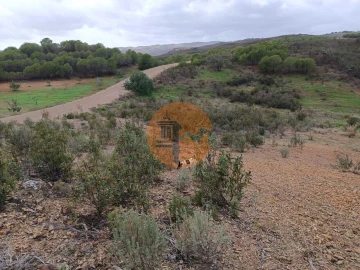 Terreno para Venda em Azinhal