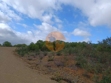 Terreno para Venda em Azinhal