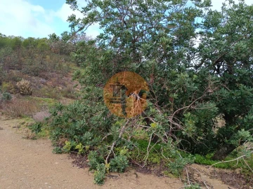 Terreno para Venda em Azinhal