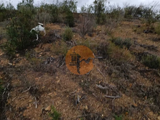 Terreno para Venda em Azinhal Foto 9