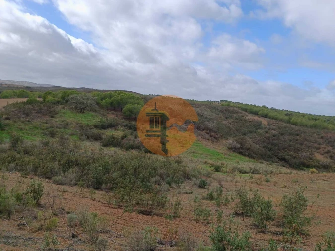 Terreno para Venda em Azinhal Foto 10