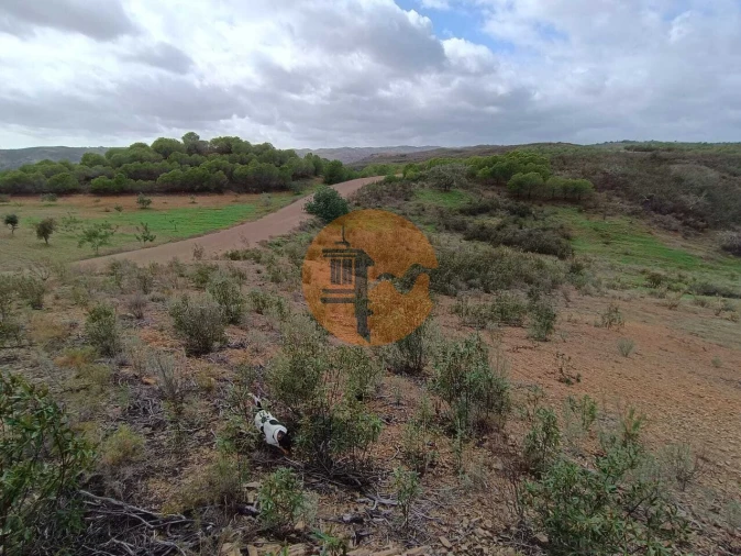 Terreno para Venda em Azinhal Foto 17