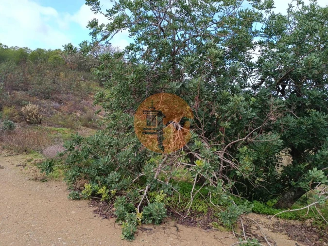 Terreno para Venda em Azinhal Foto 15
