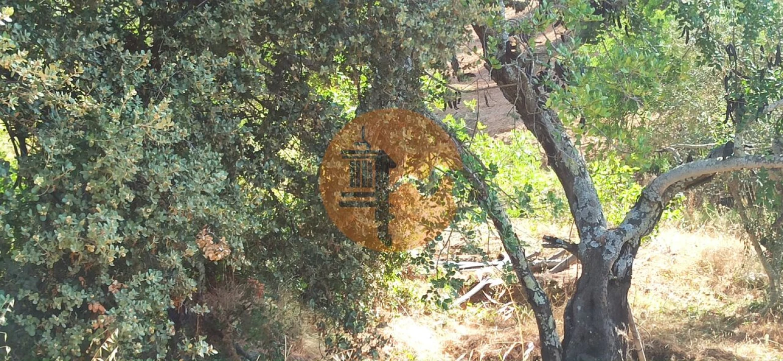 Terreno para Venda em Santa Catarina da Fonte do Bispo Foto 19