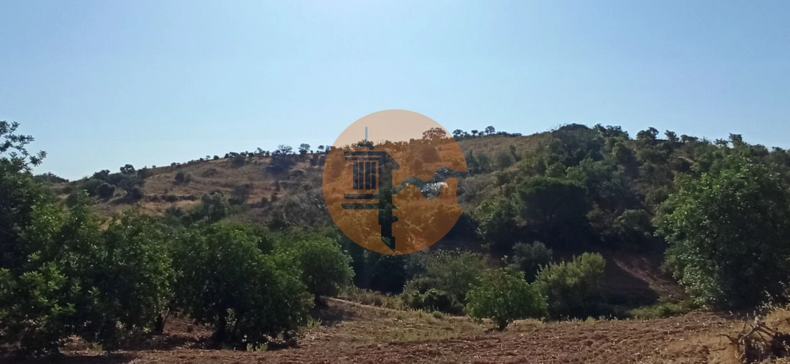 Terreno para Venda em Santa Catarina da Fonte do Bispo Foto 25