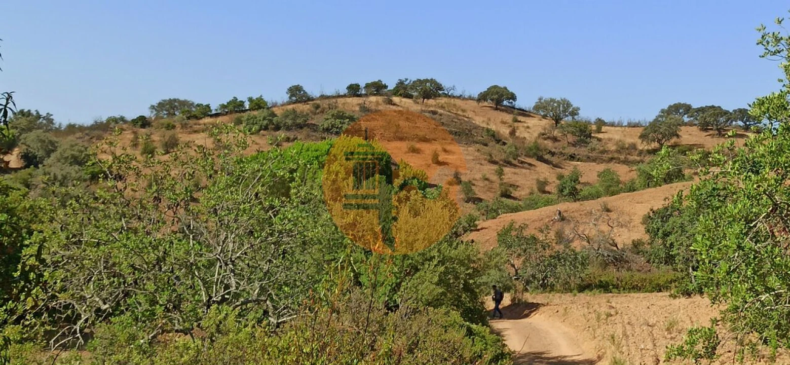 Terreno para Venda em Santa Catarina da Fonte do Bispo Foto 31