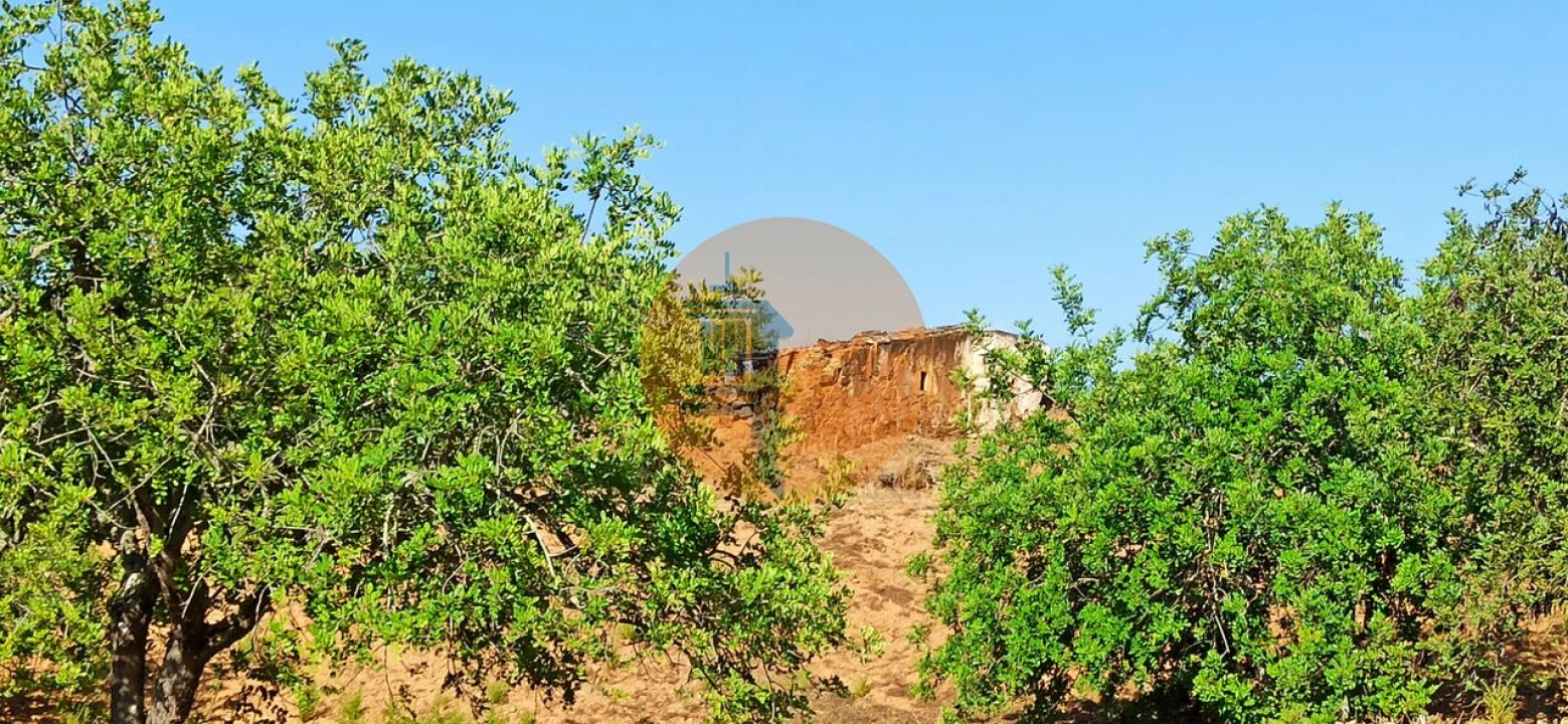Terreno para Venda em Santa Catarina da Fonte do Bispo Foto 32