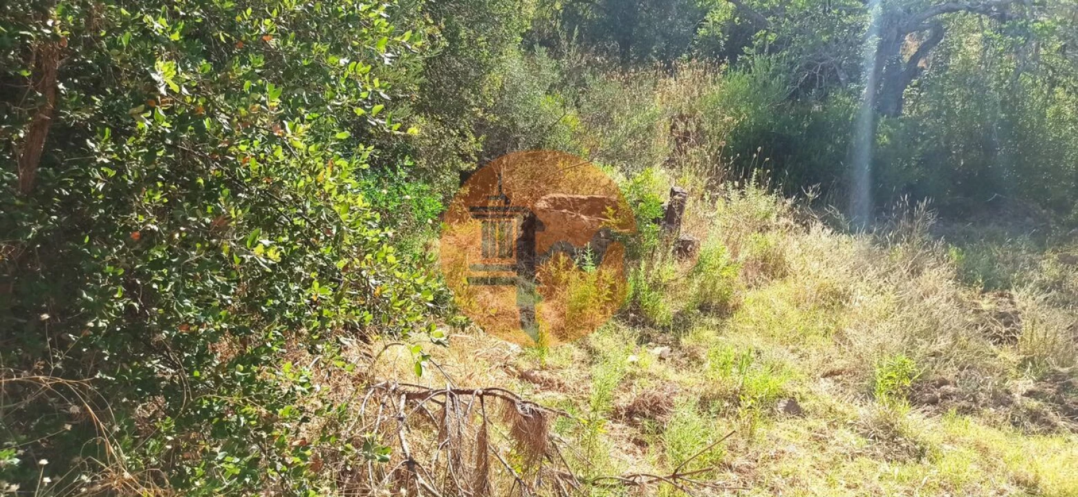 Terreno para Venda em Santa Catarina da Fonte do Bispo Foto 34