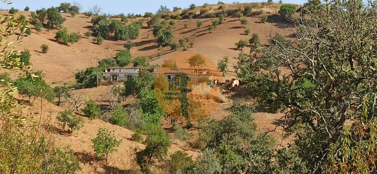 Terreno para Venda em Santa Catarina da Fonte do Bispo Foto 38