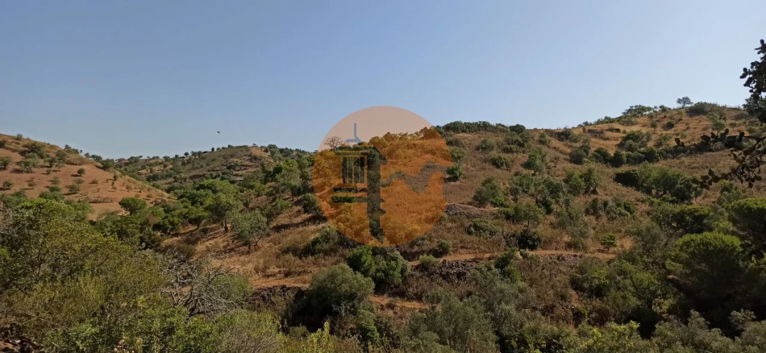 Terreno para Venda em Santa Catarina da Fonte do Bispo Foto 16