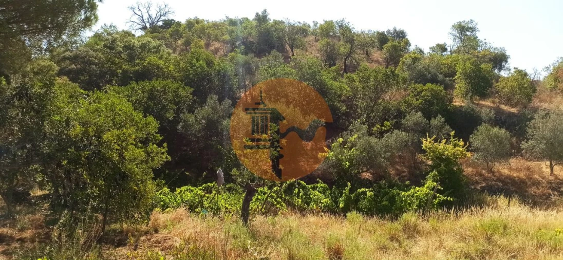Terreno para Venda em Santa Catarina da Fonte do Bispo Foto 18