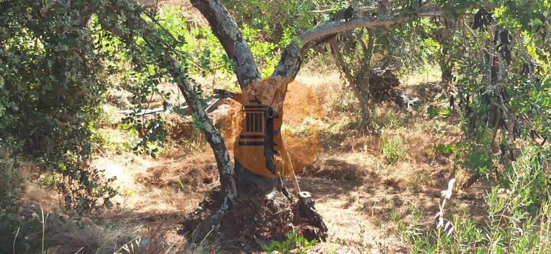Terreno para Venda em Santa Catarina da Fonte do Bispo Foto 20