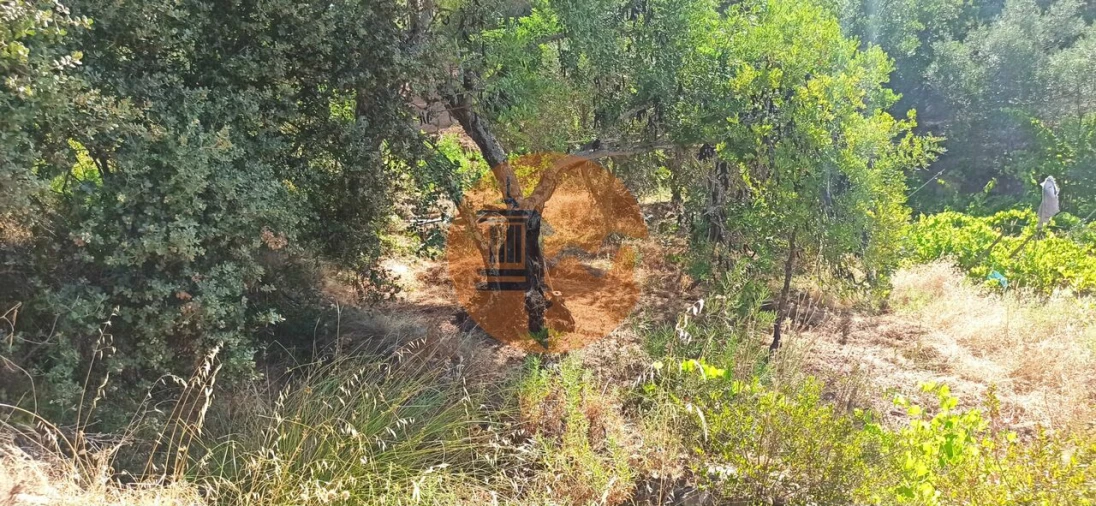 Terreno para Venda em Santa Catarina da Fonte do Bispo Foto 21