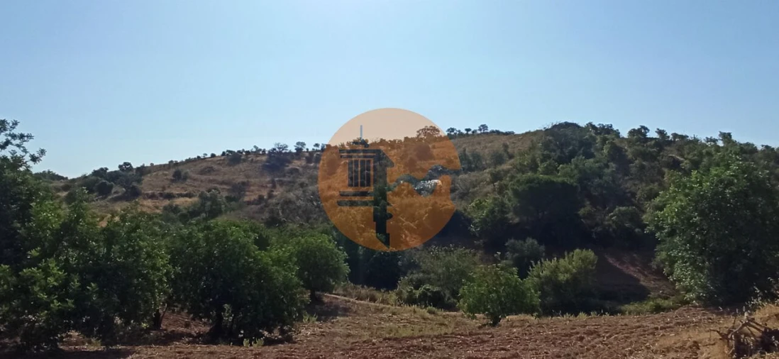 Terreno para Venda em Santa Catarina da Fonte do Bispo Foto 25