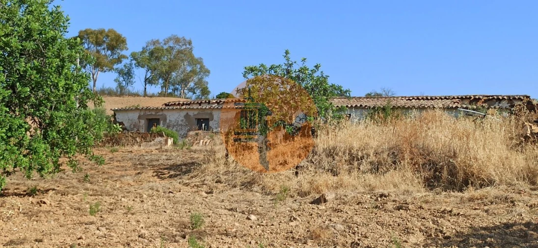 Terreno para Venda em Santa Catarina da Fonte do Bispo Foto 29
