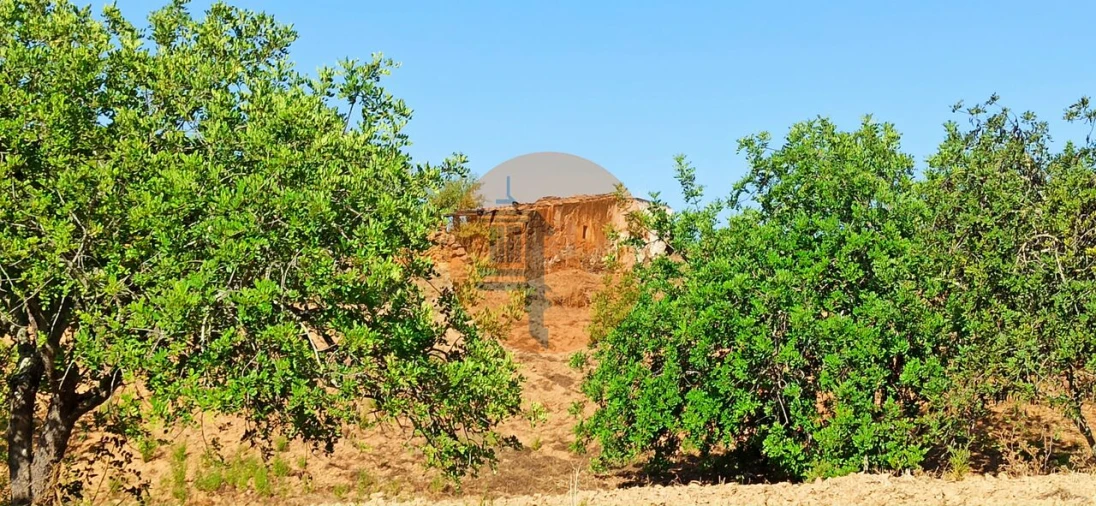 Terreno para Venda em Santa Catarina da Fonte do Bispo Foto 30