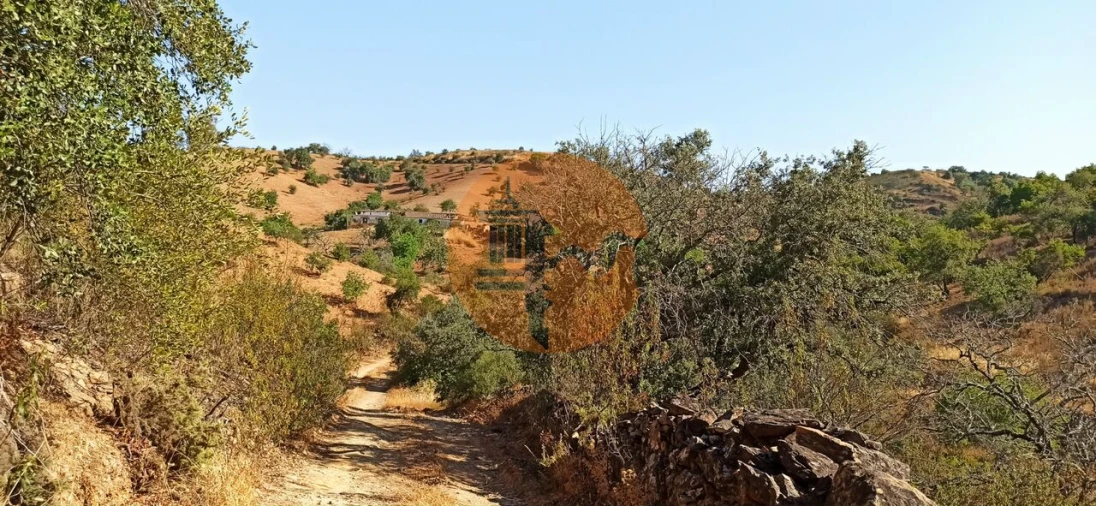 Terreno para Venda em Santa Catarina da Fonte do Bispo Foto 35